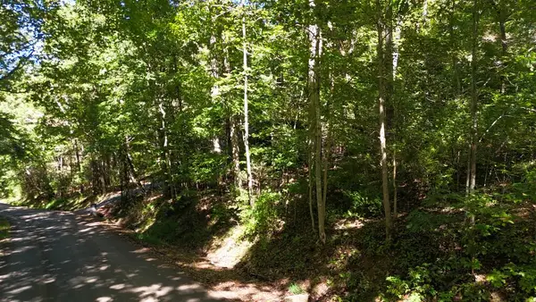 TBD River Oak Dr, Marion, VA 24354