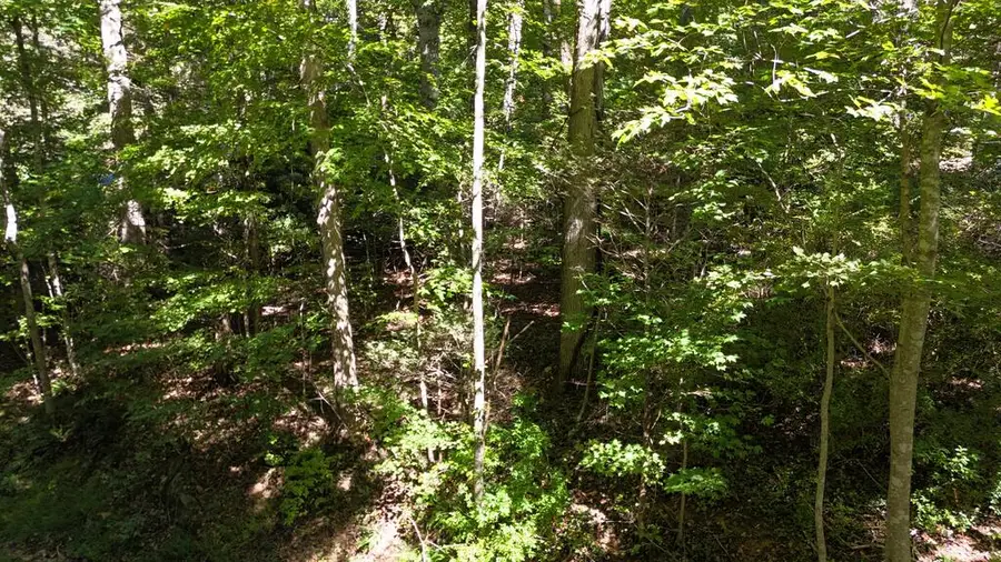 TBD River Oak Dr, Marion, VA 24354 - #2