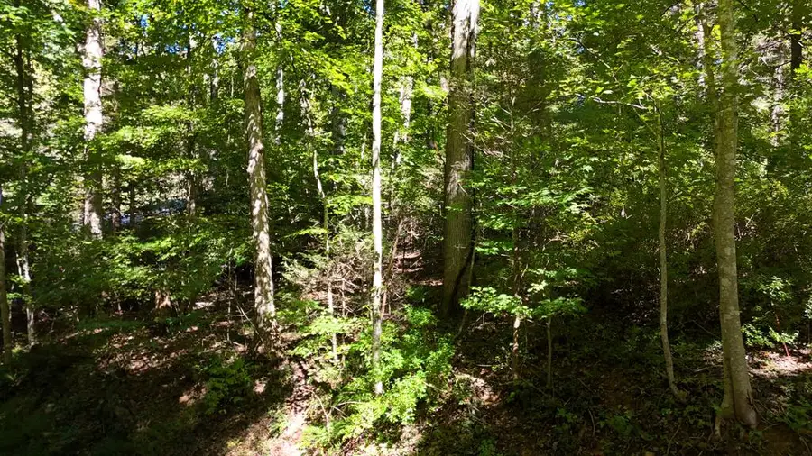 TBD River Oak Dr, Marion, VA 24354 - #3