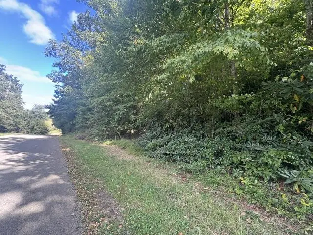 TBD Foggy Ridge Lane, Fancy Gap, VA 24328 - #1