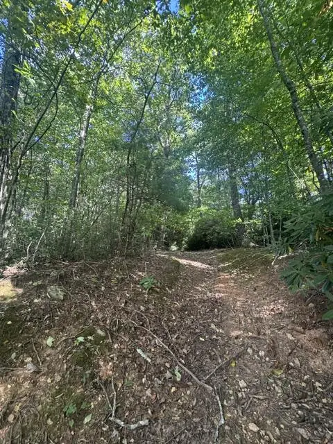 TBD Foggy Ridge Lane, Fancy Gap, VA 24328 - #2