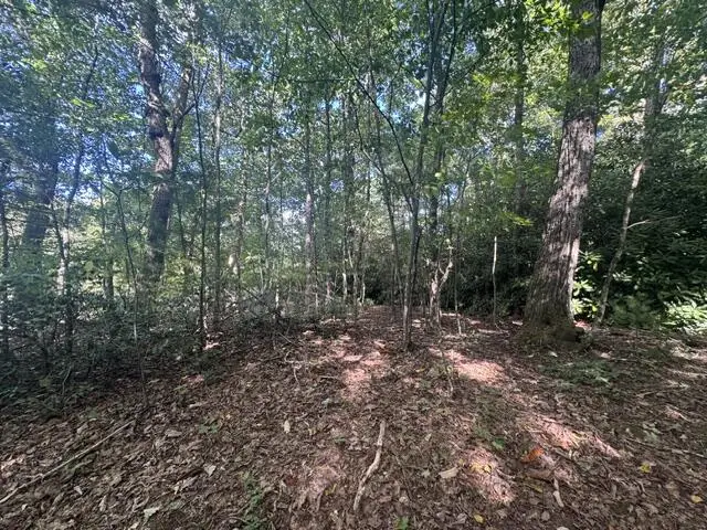 TBD Foggy Ridge Lane, Fancy Gap, VA 24328 - #3