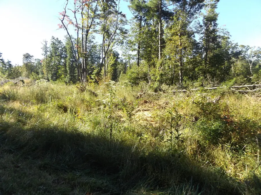 TBD Deer Ridge Rd., Hillsville, VA 24343 - #3