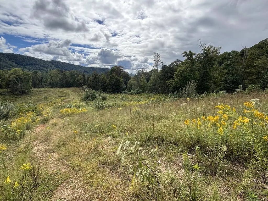 0 Brumley Gap Road, Abingdon, VA 24210 - #1