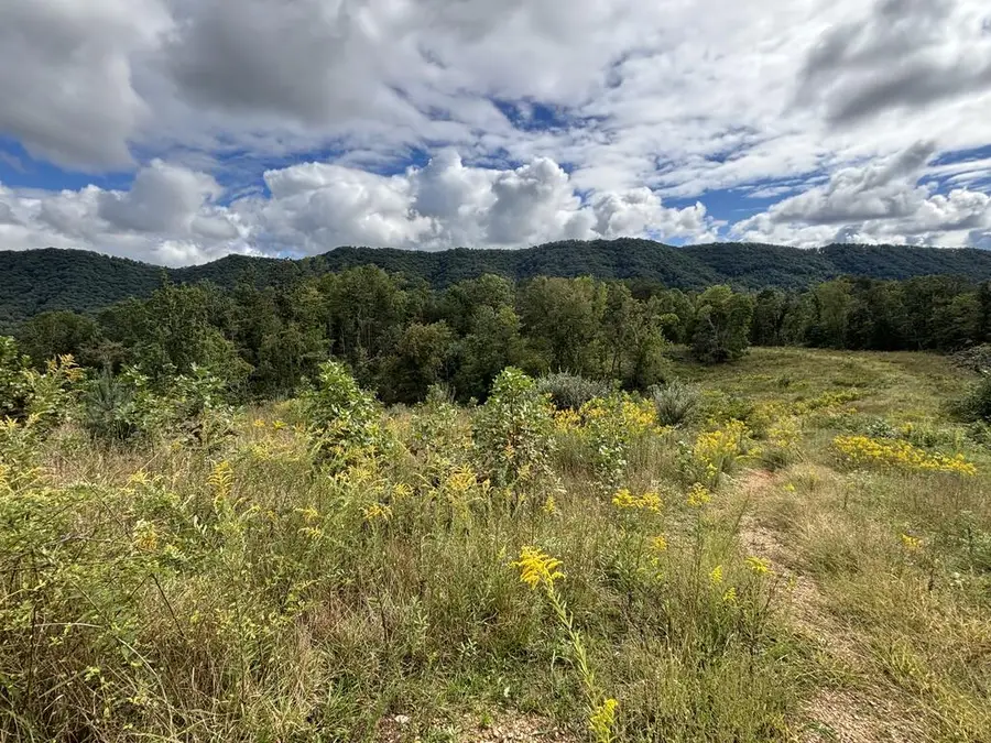 0 Brumley Gap Road, Abingdon, VA 24210 - #2
