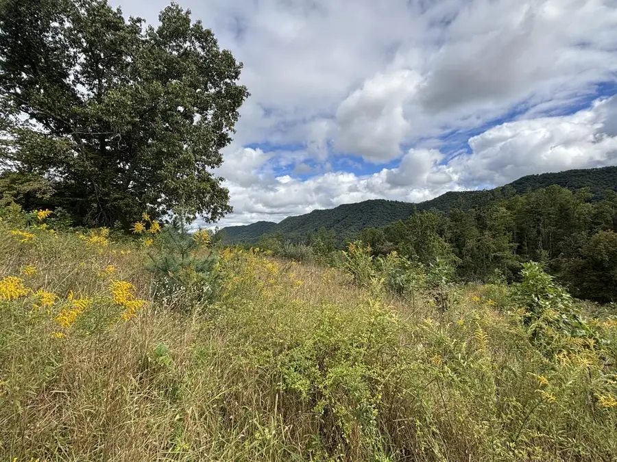0 Brumley Gap Road, Abingdon, VA 24210 - #3