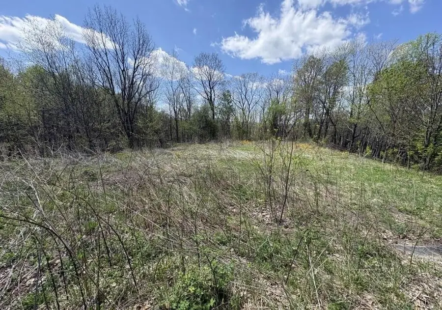 7834 Brown Mountain Rd, Jewell Ridge, VA 24622 - #2