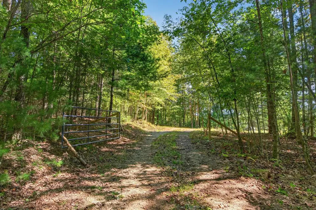 TBD Forest Green Dr, Galax, VA 24333 - #1