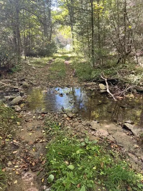 TBD Panther Creek Road, Troutdale, VA 24378 - #2