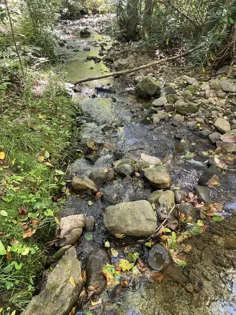 TBD Panther Creek Road, Troutdale, VA 24378 - #3