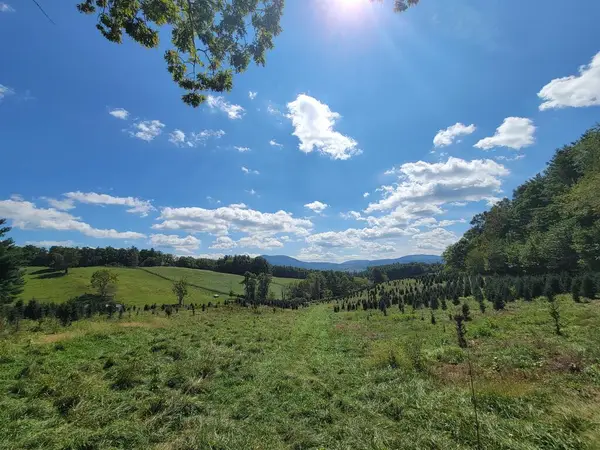 TBD Echo Ridge Ln, Elk Creek, VA 24326