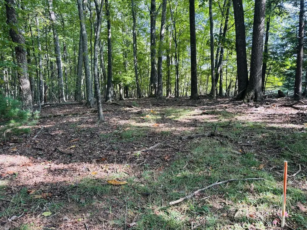 Lot 10 Cove Lane, Woodlawn, VA 24381 - #1