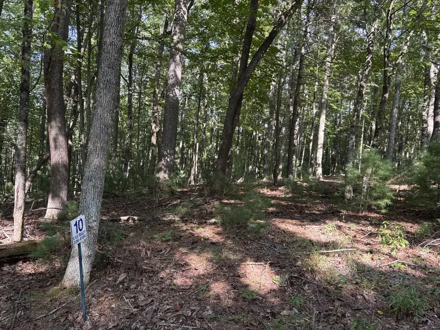 Lot 10 Cove Lane, Woodlawn, VA 24381 - #3