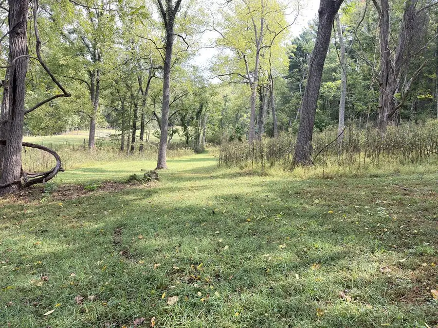 Lot 2 Patch Drive, Ivanhoe, VA 24350 - #3