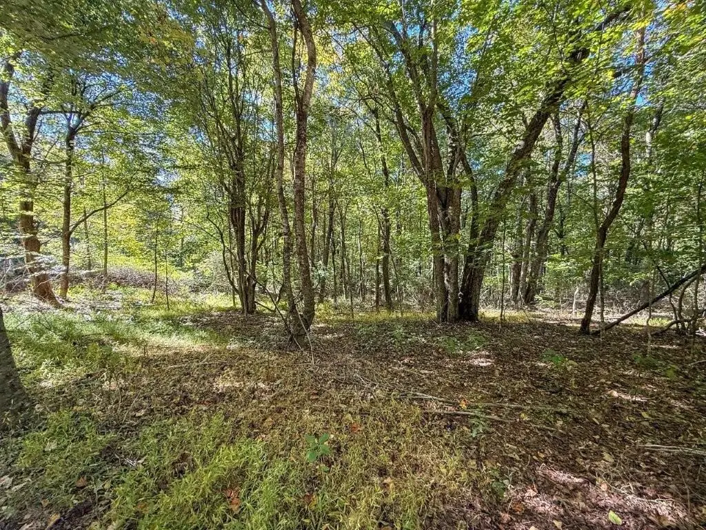 Lot 16 Glen Burn Ln, Meadows Of Dan, VA 24120 - #1