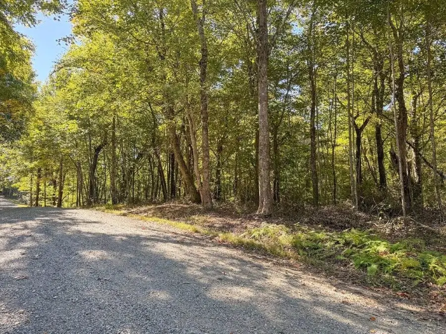 Lot 16 Glen Burn Ln, Meadows Of Dan, VA 24120 - #2
