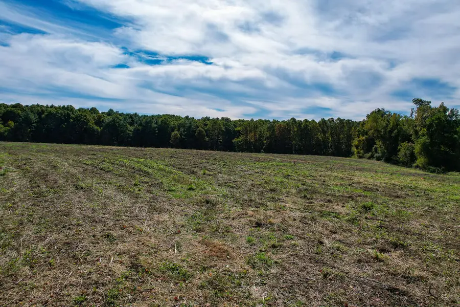 TBD Hanging Tree RD, Hillsville, VA 24343 - #2