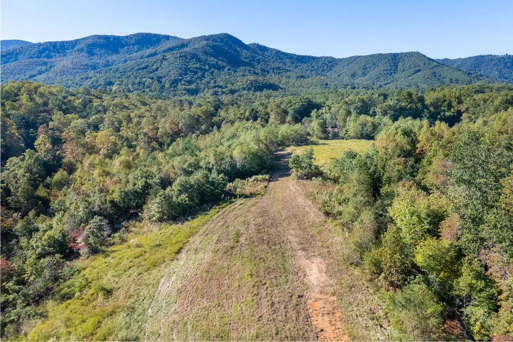 401 York Thicket Rd, Lambsburg, VA 24351 - #1