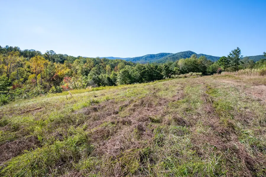 401 York Thicket Rd, Lambsburg, VA 24351 - #2