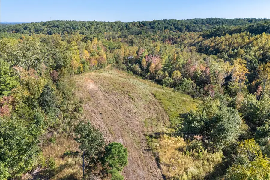 401 York Thicket Rd, Lambsburg, VA 24351 - #3
