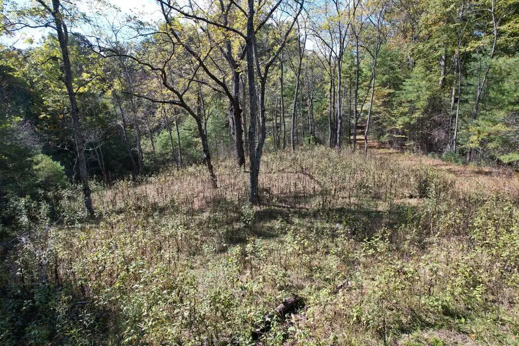 TBD Byllesby Road, Ivanhoe, VA 24350 - #1