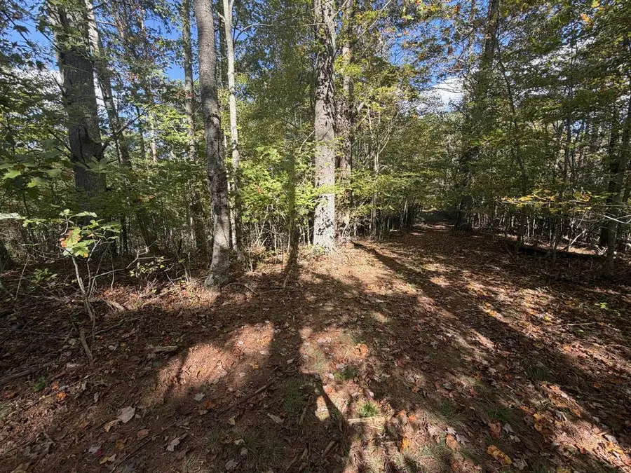 TBD Byllesby Road, Ivanhoe, VA 24350 - #2