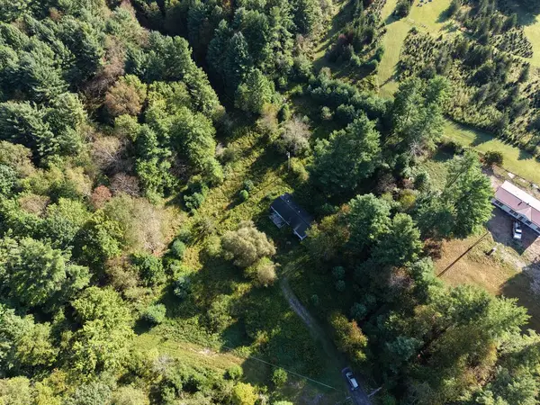 6165 Whitetop Rd., Troutdale, VA 24378