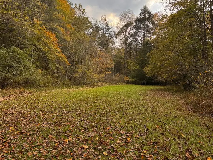 3210 Ravens Nest Branch Rd, Cedar Bluff, VA 24609 - #3