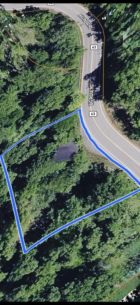 8414 Big Ridge Rd, Haysi, VA 24256 - #1