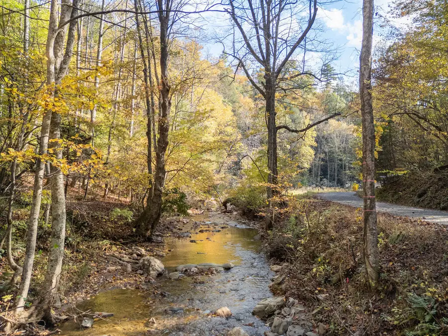 TBD Deepwater Rd., Dugspur, VA 24325 - #2