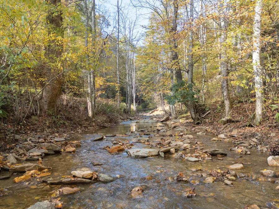 TBD Deepwater Rd., Dugspur, VA 24325 - #3