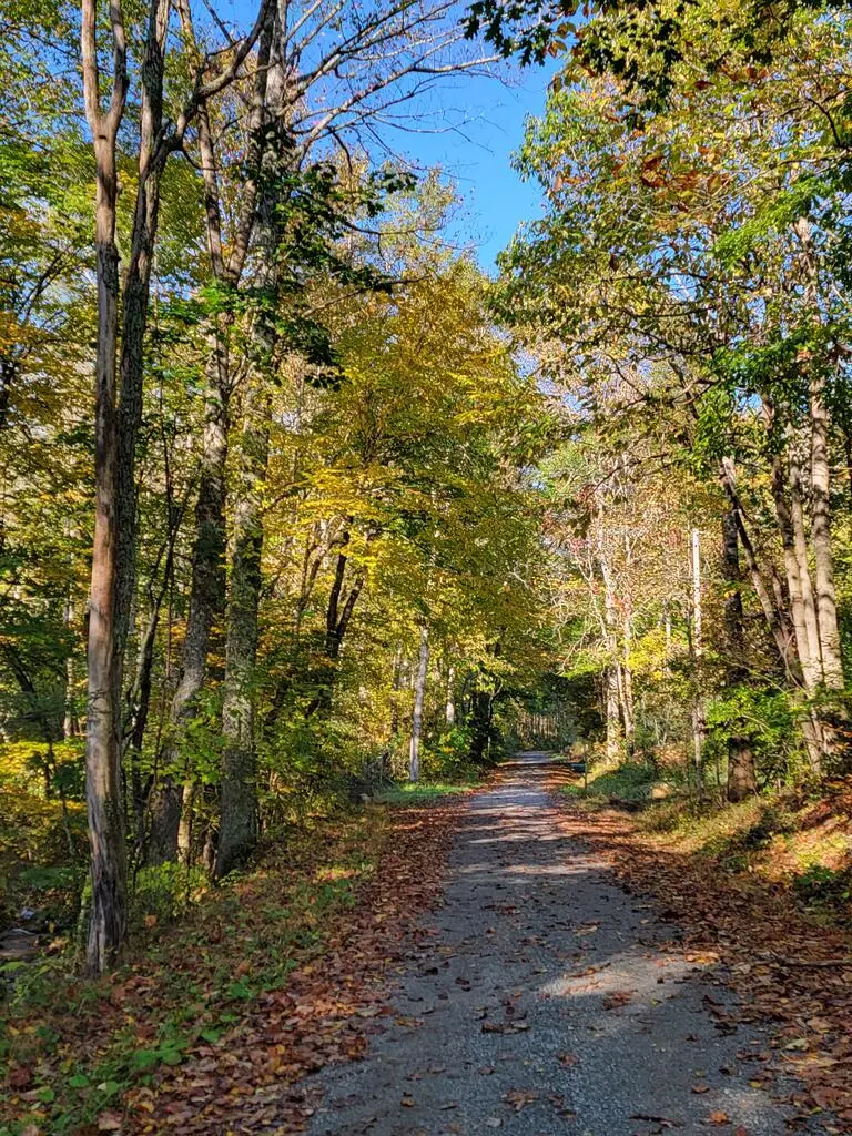 441 Hidden Hollow Lane, Troutdale, VA 24378 - #3