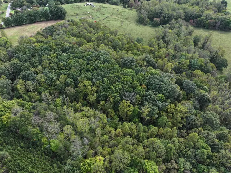0 Salem Hwy, Stuart, VA 24171 - #3