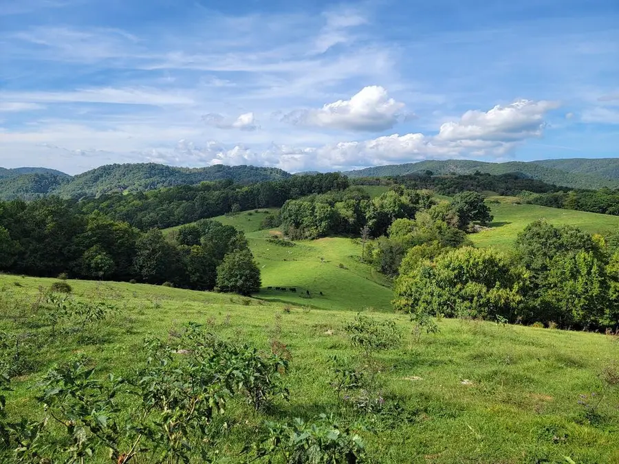 TBD Wilson HWY, Independence, VA 24348 - #2