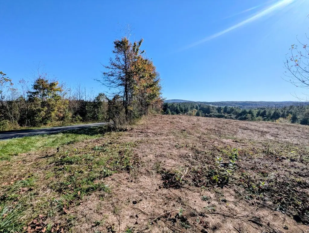 TBD Indian Valley PO Rd., Indian Valley, VA 24105 - #1