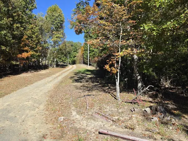 3045 Pine Mtn Rd, Independence, VA 24348