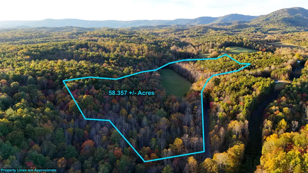 58 Acres Hunters Chapel Rd., Ararat, VA 24053 - #1