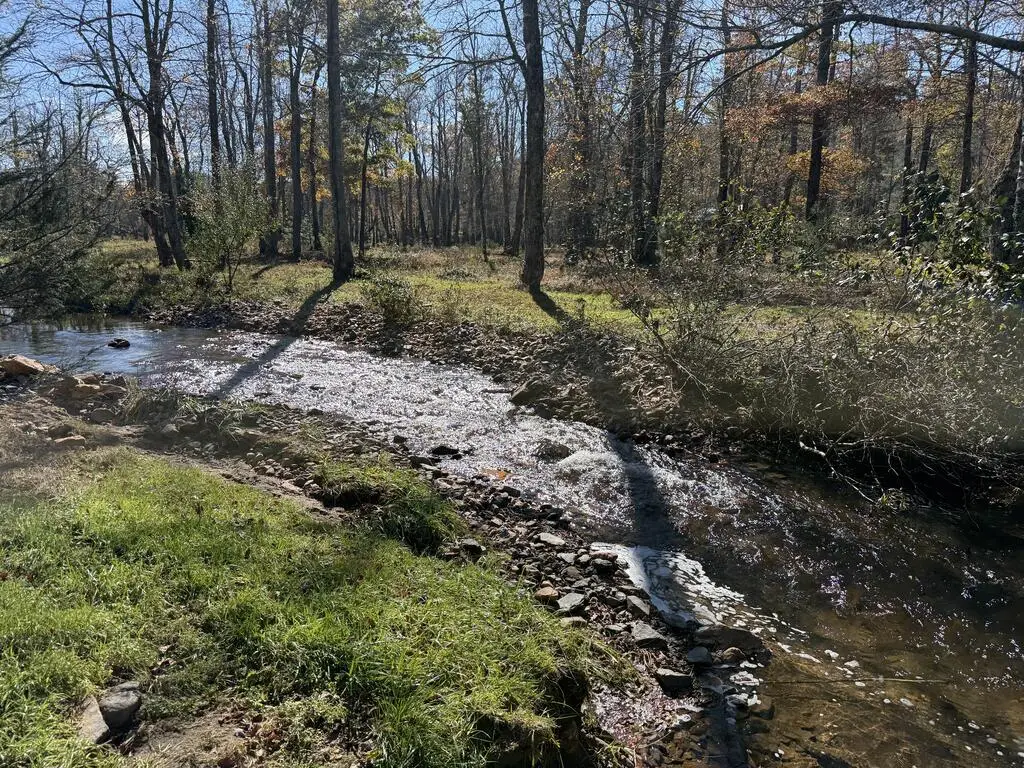 TBD Double Bridges Dr, Fancy Gap, VA 24328 - #1