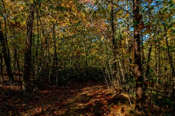 6 Lots Starry Nights Dr, Fancy Gap, VA 24328