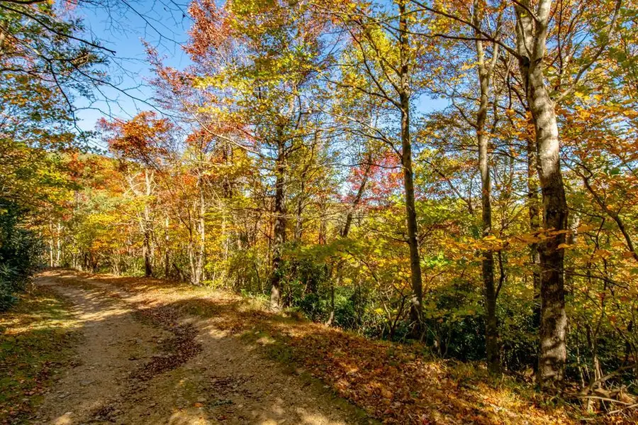 6 Lots Starry Nights Dr, Fancy Gap, VA 24328 - #2