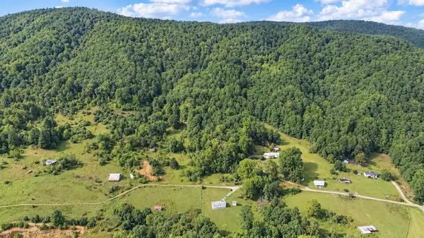 TBD Piney Mountain Rd., Narrows, VA 24124