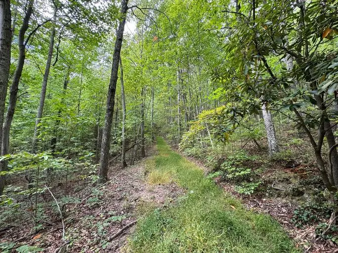 TBD Piney Mountain Rd., Narrows, VA 24124 - #2