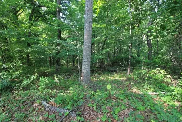 108 Point Lookout Ln., Independence, VA 24348 - Image #3