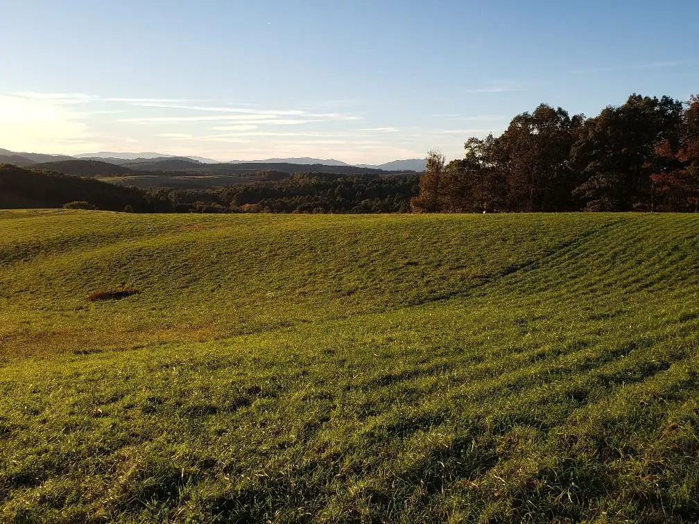 TBD CRESTVIEW MOUNTAIN DR LOT 46, Ennice, NC 28623 - Image #1