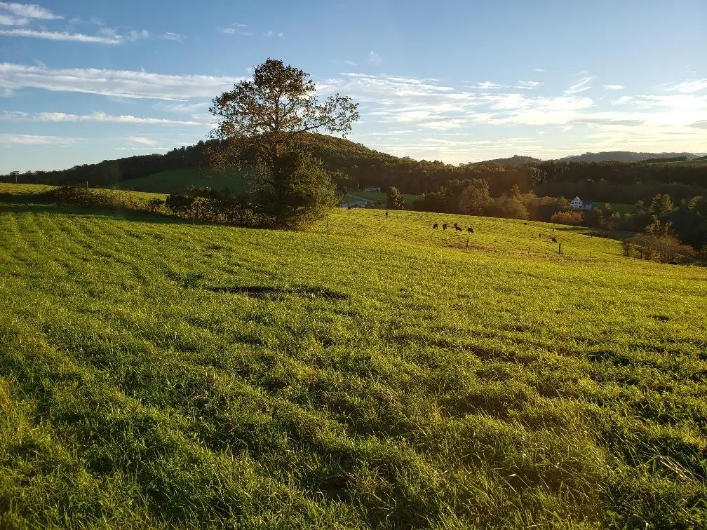 TBD CRESTVIEW MOUNTAIN DR LOT 44, Ennice, NC 28623 - Image #1