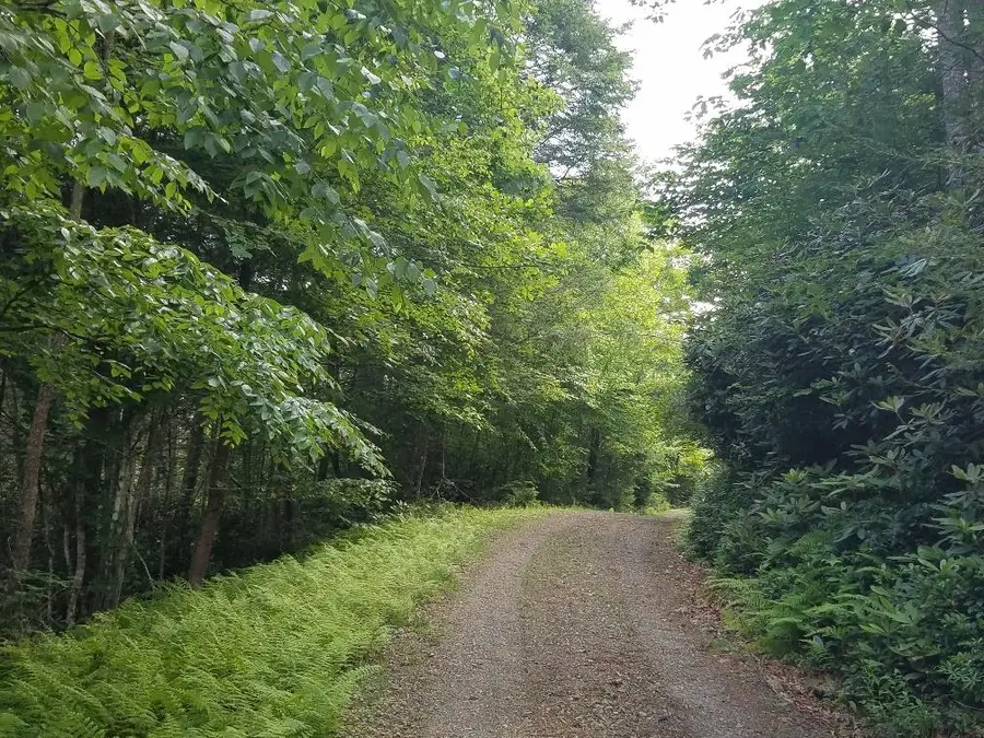 TBD CRESTVIEW MOUNTAIN DR LOT 44, Ennice, NC 28623 - Image #2