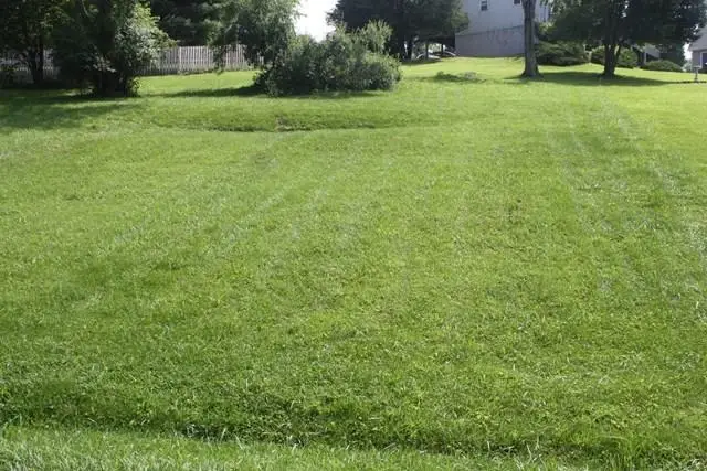 Lot 13 Lakeshore Drive, Abingdon, VA 24211 - Image #3