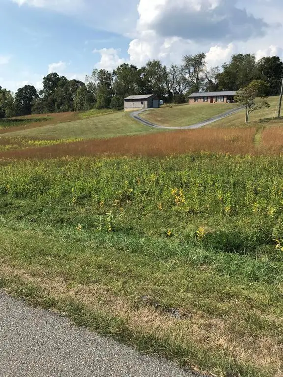 TBD LOt #30 Chestnutwood Drive, Chilhowie, VA 24319