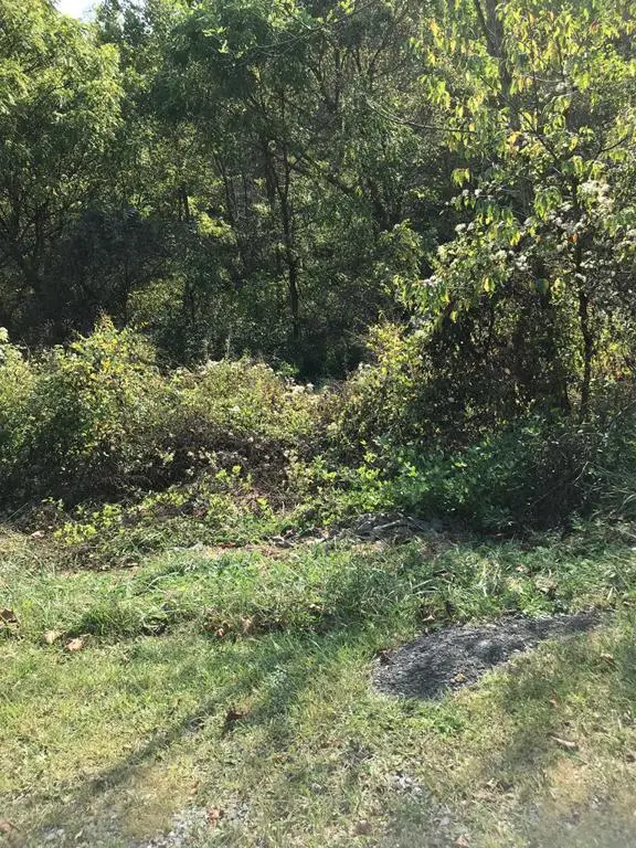 TBD Lot#17 Bryant Drive, Chilhowie, VA 24319 - Image #1