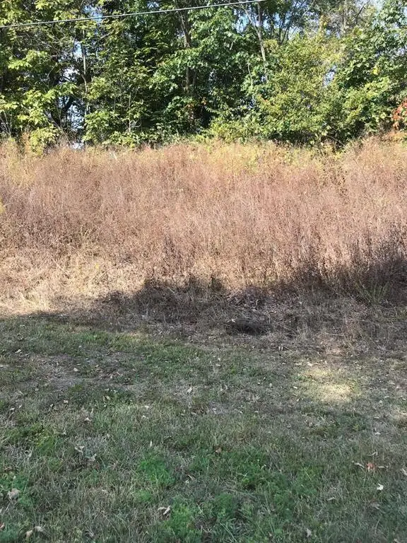 TBD Lot#12 Chestnutwood Drive, Chilhowie, VA 24319 - Image #1